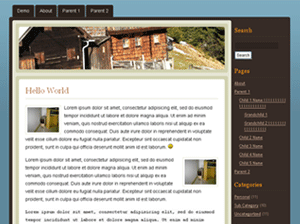 Exhausted WordPress Theme